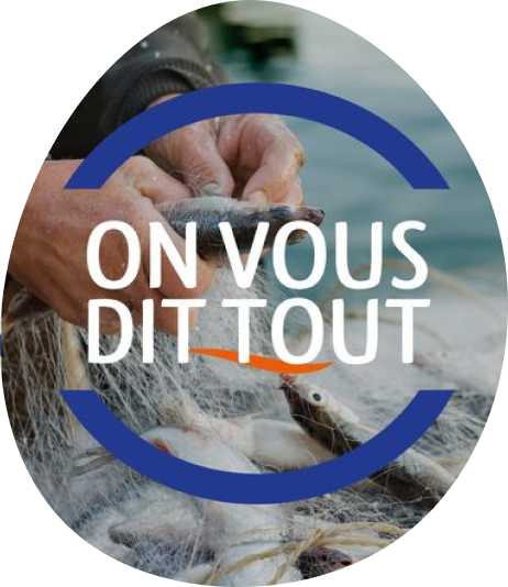 Pêche responsable poissons sauvages